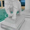 中山 白麻花岗岩动物异形石雕-大象