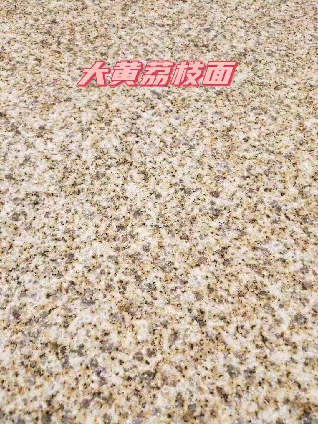 中山黄金麻大黄荔枝面