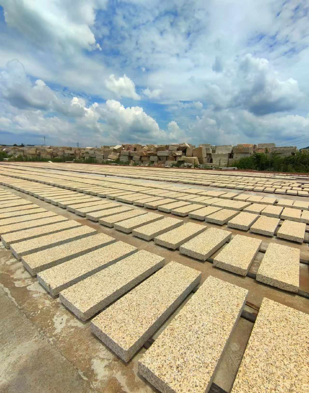 中山 黄金麻荔枝面花岗岩石材地铺石防护中