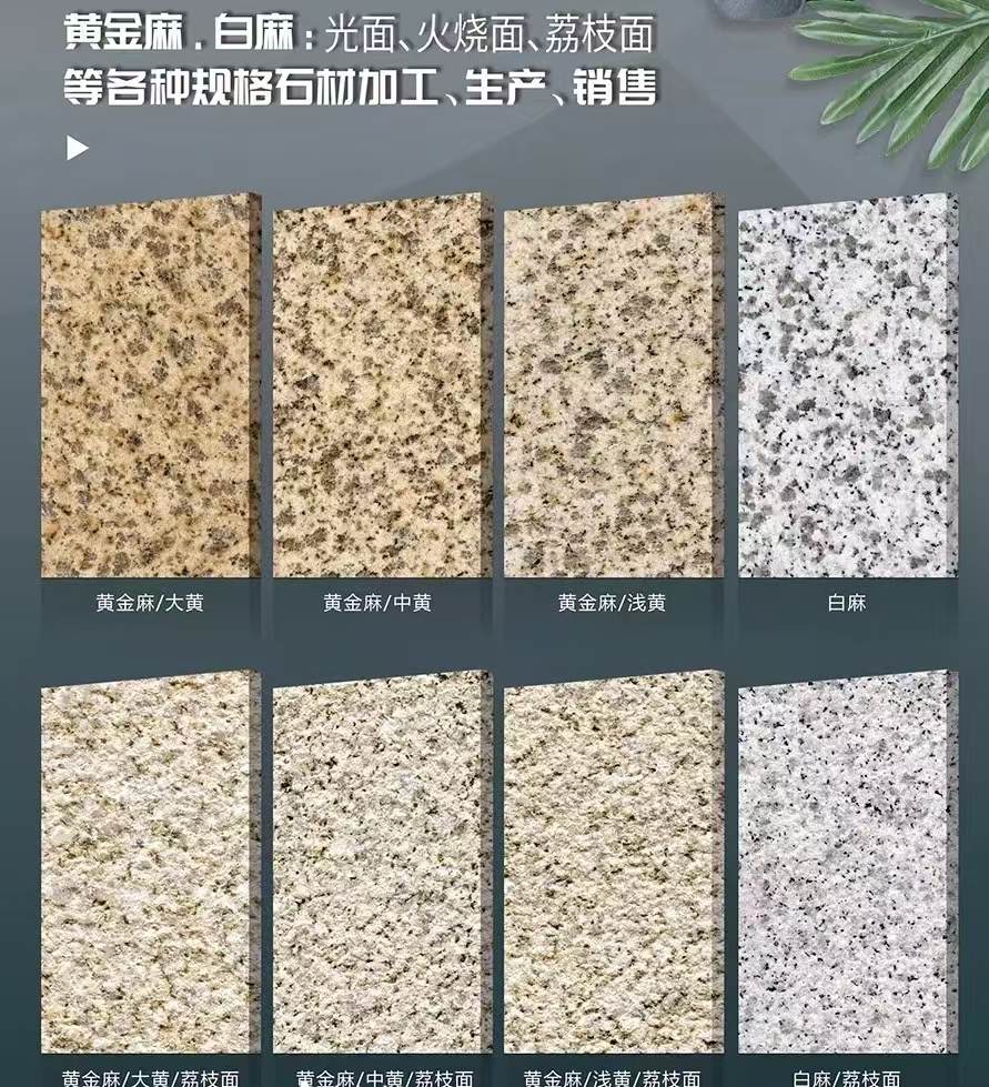 中山 黄金麻白麻样品展示