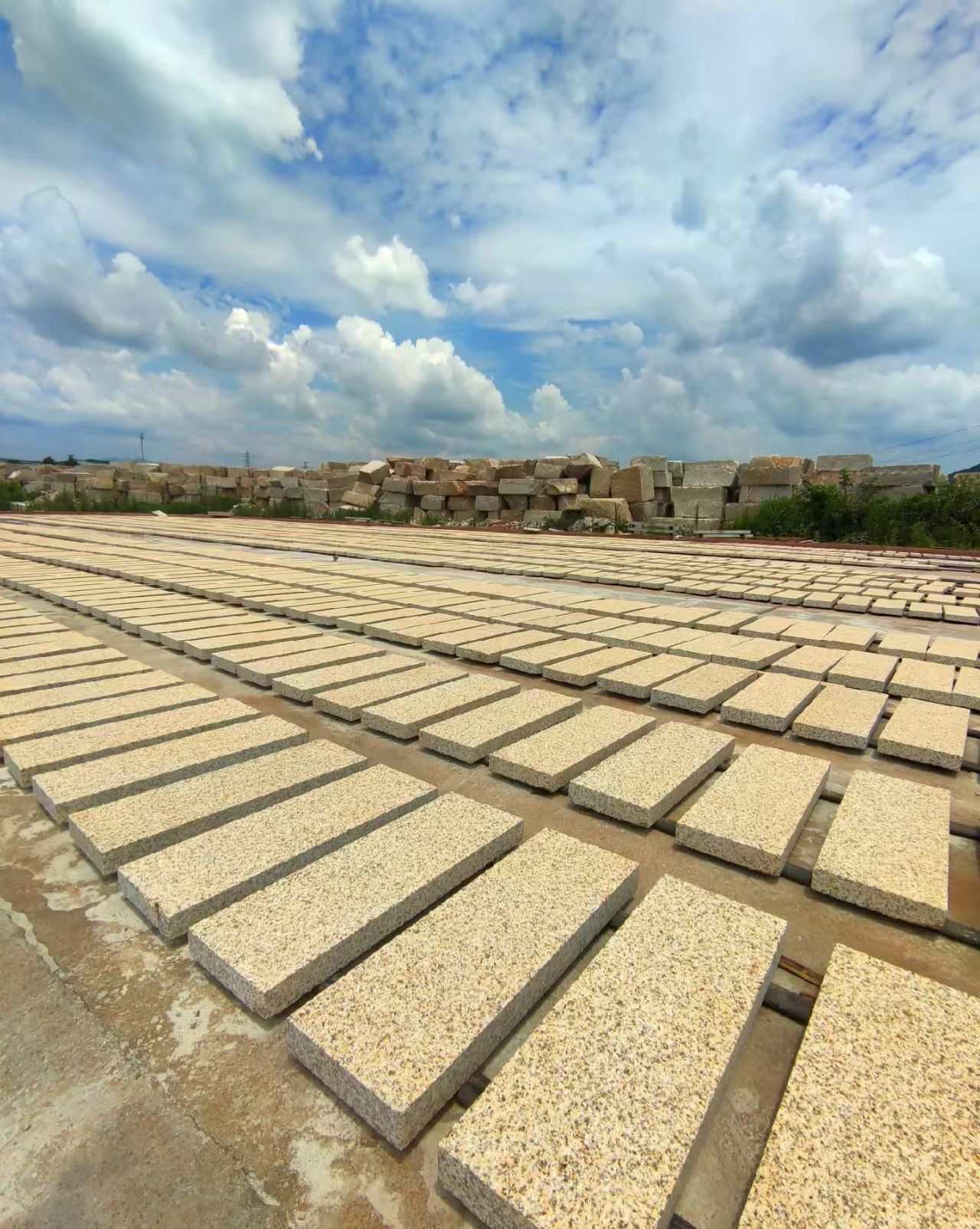 中山 黄金麻花岗岩荔枝面地铺石防护中