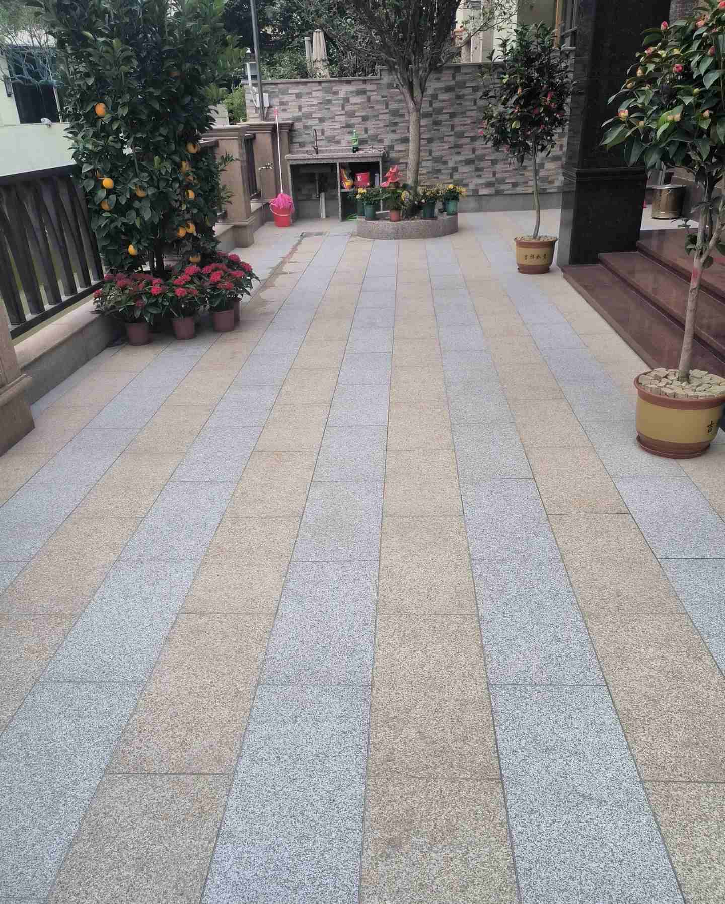 中山 黄金麻白麻荔枝面庭院铺装展示